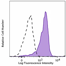 PE anti-human IRF1