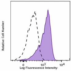 PE anti-human IRF1