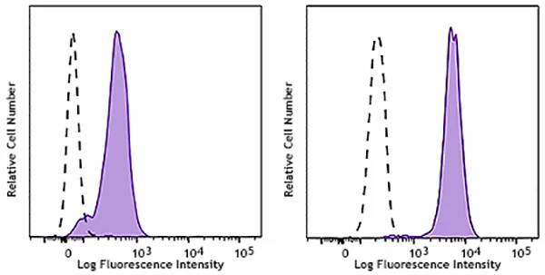 PE anti-human IRF3 - Image 2