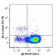 PE anti-human/mouse Bcl-6