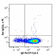 PE anti-human/mouse Bcl-6 - Image 2
