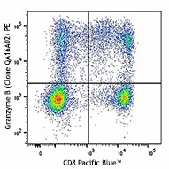 PE anti-human/mouse Granzyme B Recombinant