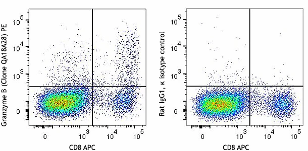 PE anti-human/mouse Granzyme B Recombinant - Image 2
