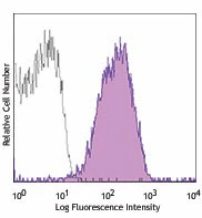 PE anti-human Notch 1