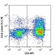 PE anti-human RANTES (CCL5)