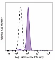 PE anti-human STAT3