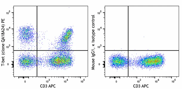 PE anti-human T-bet Recombinant