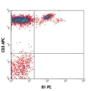 PE anti-human TCR γ/δ