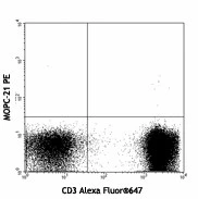 PE anti-human TCR Vα24-Jα18 (iNKT cell) - Image 2