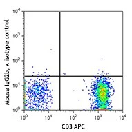 PE anti-human TMEM8A - Image 2