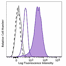 PE anti-IRF4