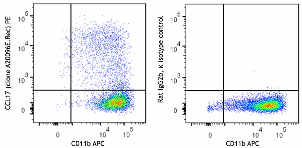 PE anti-mouse CCL17 (TARC) Recombinant