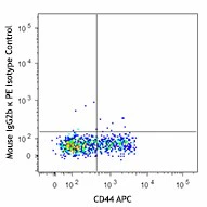 PE anti-mouse CCL5 (RANTES) - Image 2
