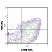 PE anti-mouse CD115 (CSF-1R) - Image 2