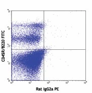 PE anti-mouse CD135 - Image 2
