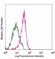 PE anti-mouse CD144 (VE-cadherin)