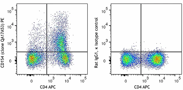 PE anti-mouse CD154 Recombinant