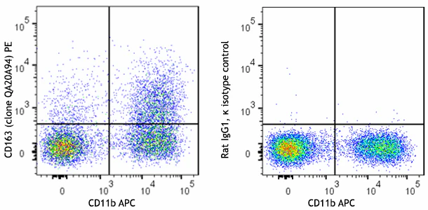 PE anti-mouse CD163 Recombinant