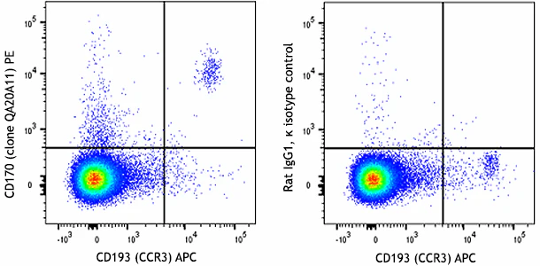PE anti-mouse CD170 Recombinant