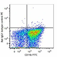 PE anti-mouse CD172a (SIRPα) - Image 2