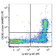 PE anti-mouse CD182 (CXCR2)