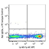 PE anti-mouse CD182 (CXCR2) - Image 2