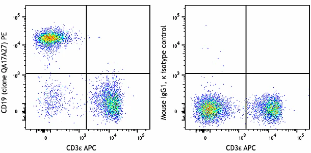 PE anti-mouse CD19 Recombinant
