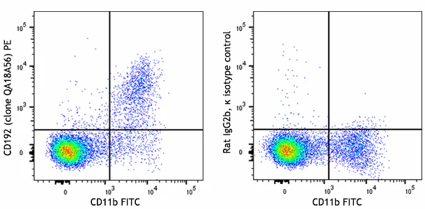 PE anti-mouse CD192 (CCR2) Recombinant