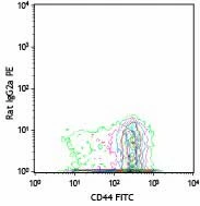 PE anti-mouse CD197 (CCR7) - Image 2