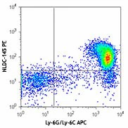 PE anti-mouse CD205 (DEC-205)