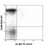 PE anti-mouse CD268 (BAFF-R) - Image 2