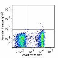 PE anti-mouse CD272 (BTLA) - Image 2