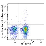PE anti-mouse CD3ε - Image 2