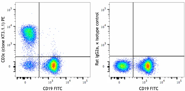 PE anti-mouse CD3ε