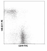 PE anti-mouse CD3ε