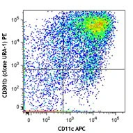 PE anti-mouse CD301b (MGL2)