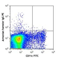 PE anti-mouse CD339 (Jagged 1) - Image 2