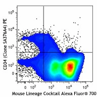 PE anti-mouse CD34