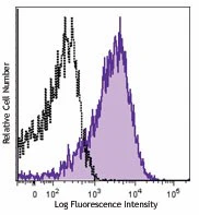 PE anti-mouse CD369 (Dectin-1, CLEC7A)