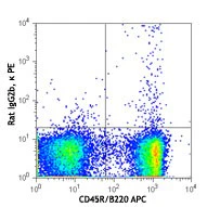 PE anti-mouse CD37 - Image 2