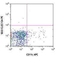 PE anti-mouse CD371 (CLEC12A) - Image 2