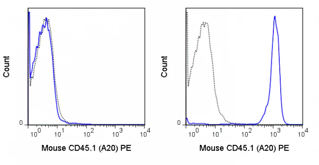 PE Anti-Mouse CD45.1 (A20)