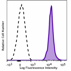PE anti-mouse CD48 Recombinant