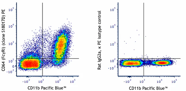 PE anti-mouse CD64 (FcγRI)
