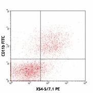 PE anti-mouse CD64 (FcγRI)