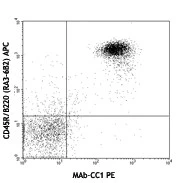 PE anti-mouse CD66a (CEACAM1a) - Image 2
