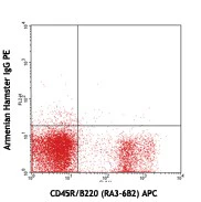 PE anti-mouse CD79b (Igβ) - Image 2