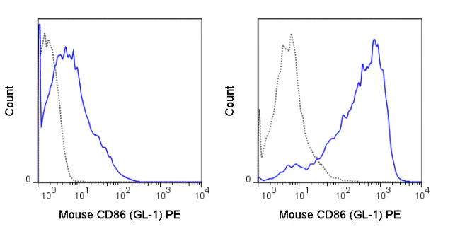 PE Anti-Mouse CD86 (B7-2) (GL-1)