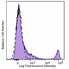PE anti-mouse CD8a Recombinant