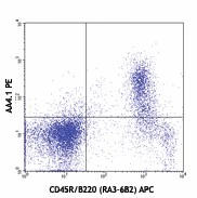 PE anti-mouse CD93 (AA4.1, early B lineage)